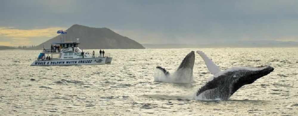 Salamander Beach Accommodation - Adults Only Salamander Bay Luaran gambar