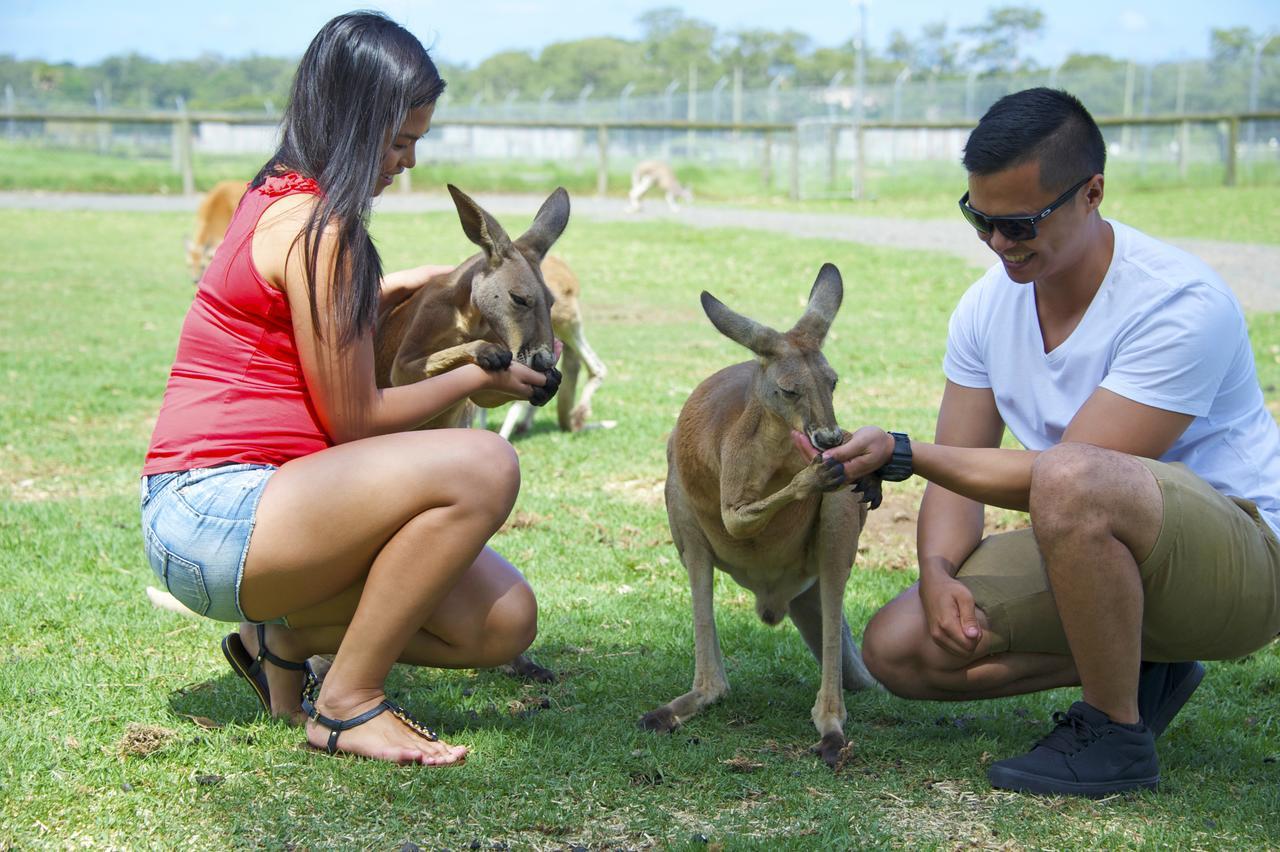 Salamander Beach Accommodation - Adults Only Salamander Bay Luaran gambar