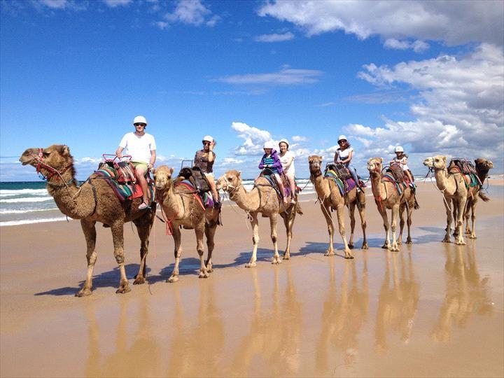 Salamander Beach Accommodation - Adults Only Salamander Bay Luaran gambar